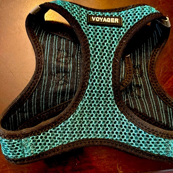 A Harness is a Voyager. The colors are green and black spots. Size is a small. - Picture 1 of 2
